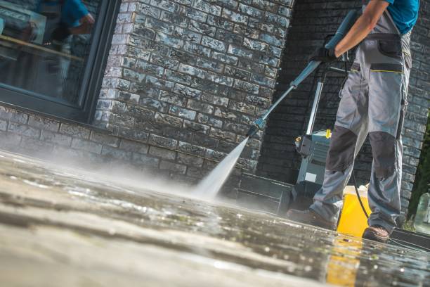 Boat and Dock Cleaning in Wallington, NJ